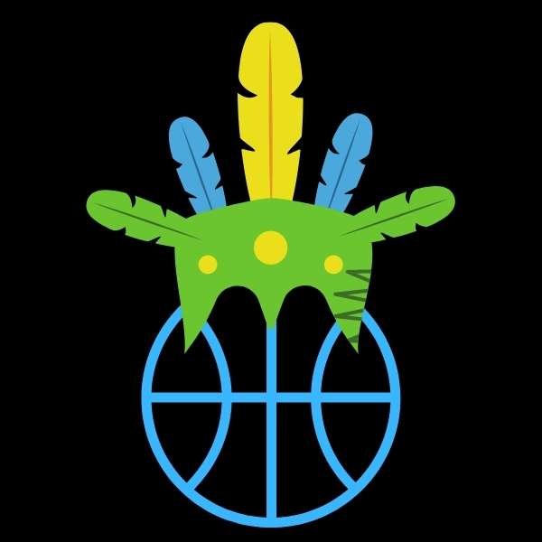 Visuel sur fond noir Sweat-shirt à Capuche amazon avec design Amazon coiffe de chef sur un ballon de Basket Ball beau Sweatshirt original noir Hoodie pour Garçons basketteurs